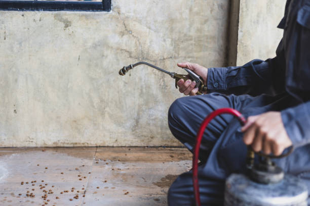 Best Emergency Pest Control  in Coplay, PA